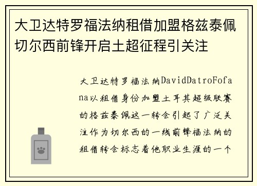 大卫达特罗福法纳租借加盟格兹泰佩切尔西前锋开启土超征程引关注